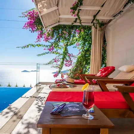 Eco Nergiz Villa