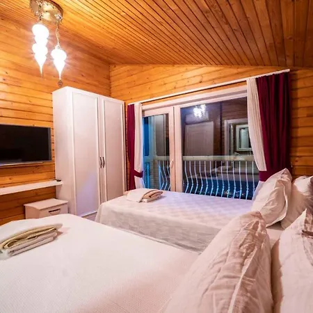 Eco Nergiz Villa